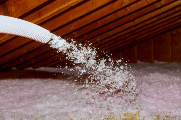 Best Cellulose Insulation  in Lucedale, MS