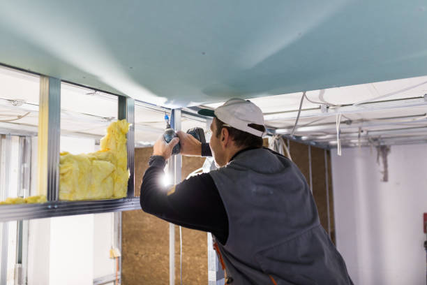 Best Insulation Replacement Services  in Lucedale, MS