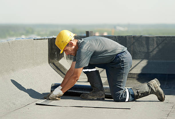 Best Insulation Inspection Services  in Lucedale, MS