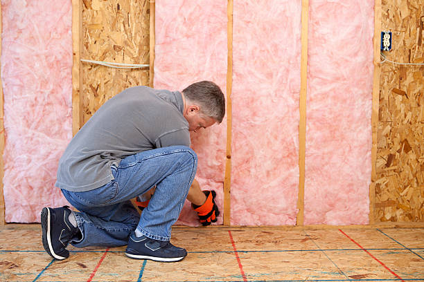 Best Affordable Insulation Services  in Lucedale, MS