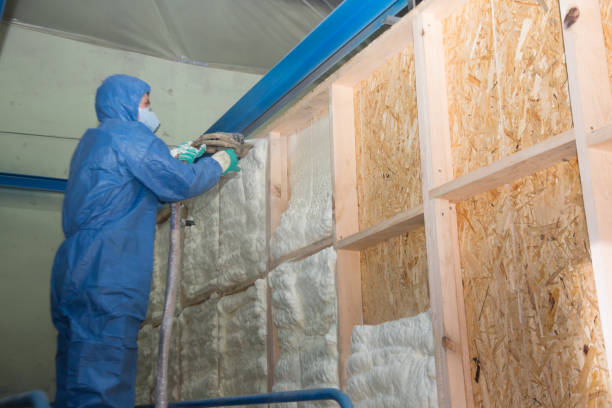 Best Soundproof Insulation Installation  in Lucedale, MS